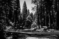 Landscapes